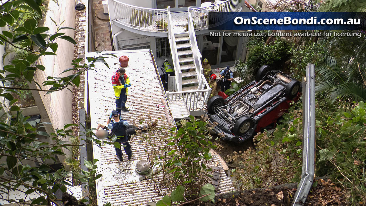 Two men escape death after car plunges 10 metres over a cliff in Bellevue Hill