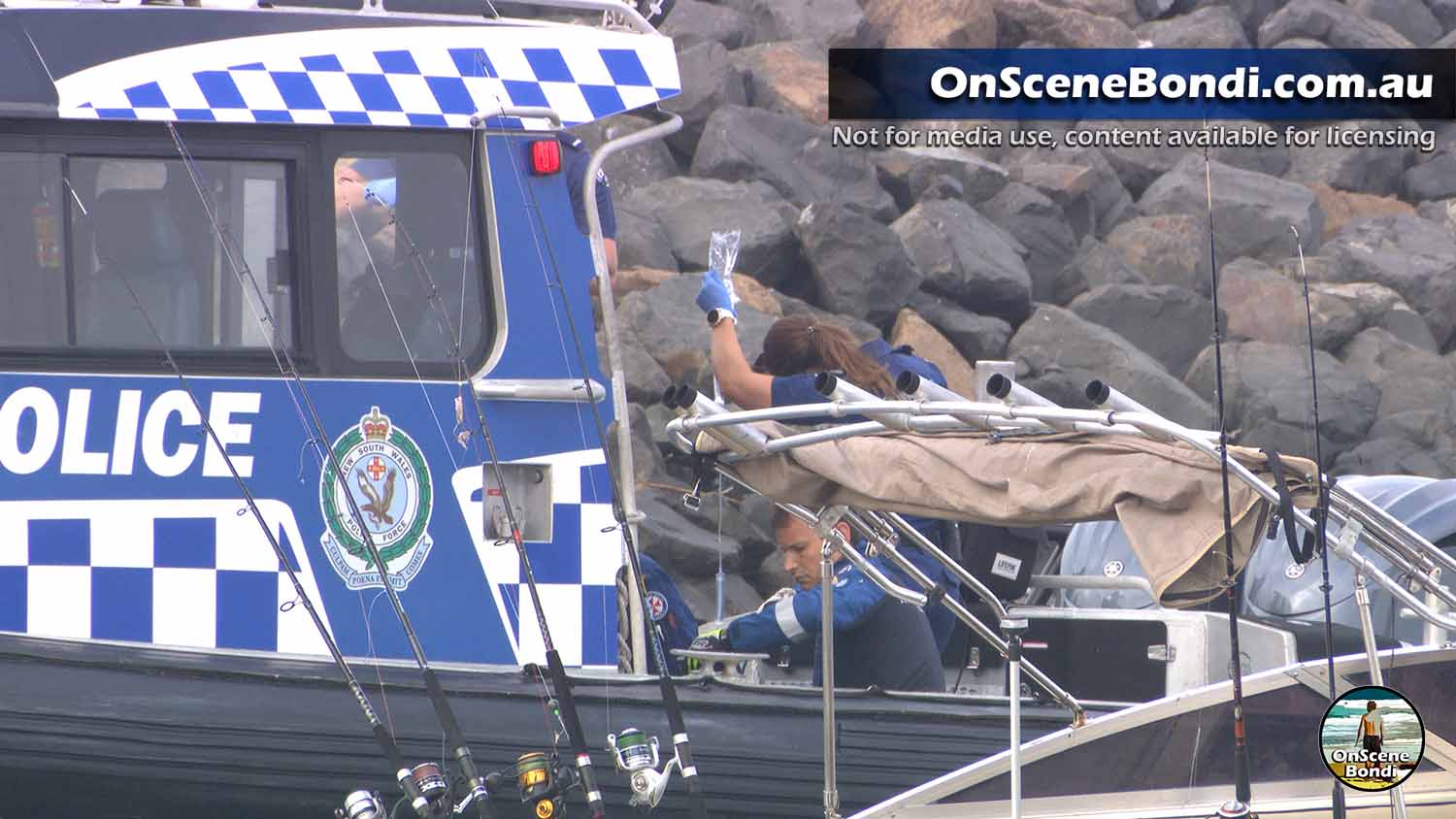 Man dies after whale incident in Sydney, Australia