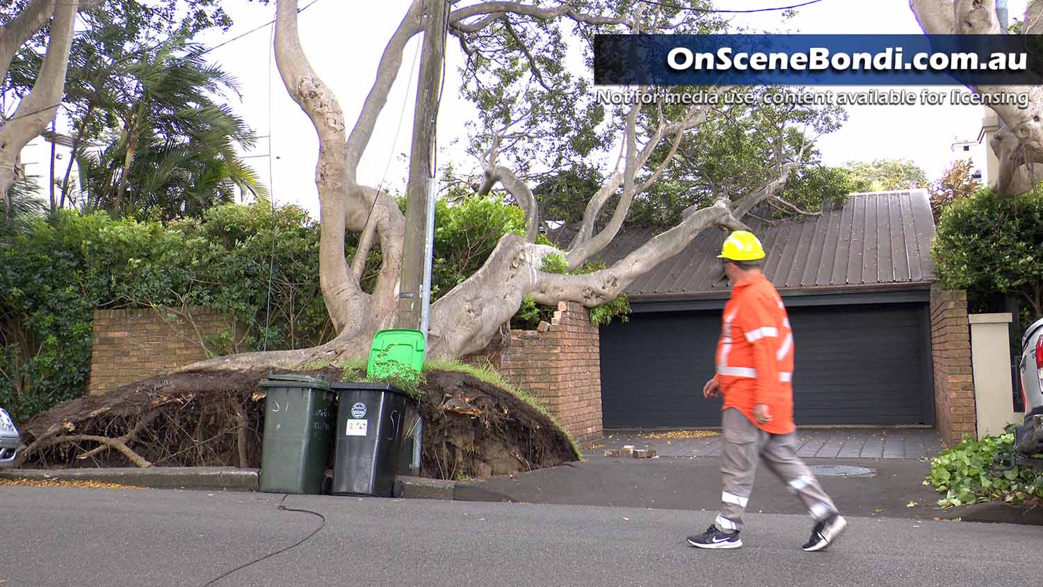 Strong winds send tree crashing into home in Bellevue Hill