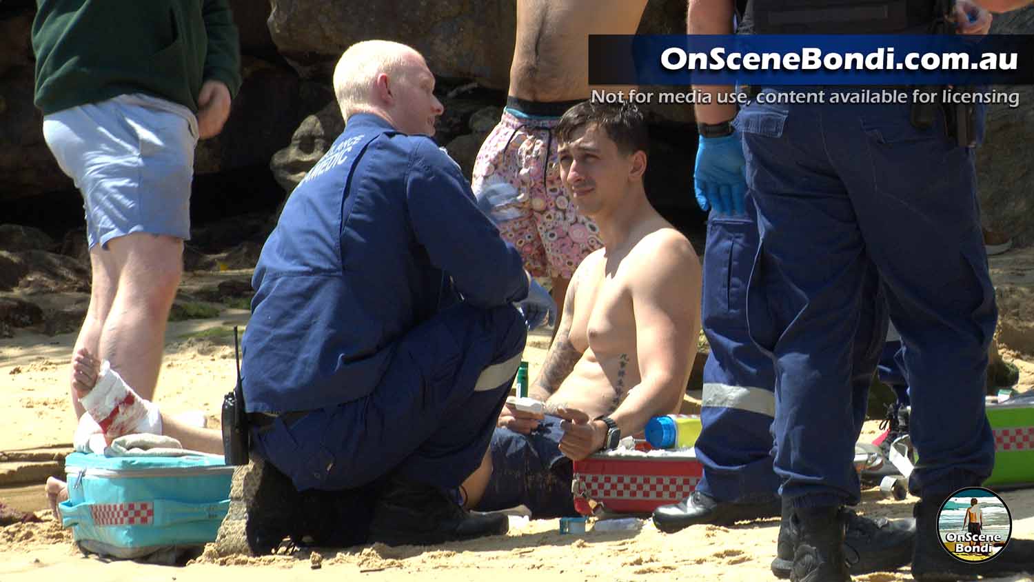 Man sustains injury after marine animal incident at Queens Beach Vaucluse