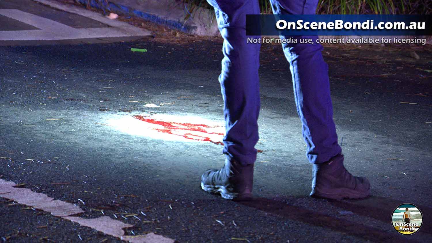 20251115 bondi 002