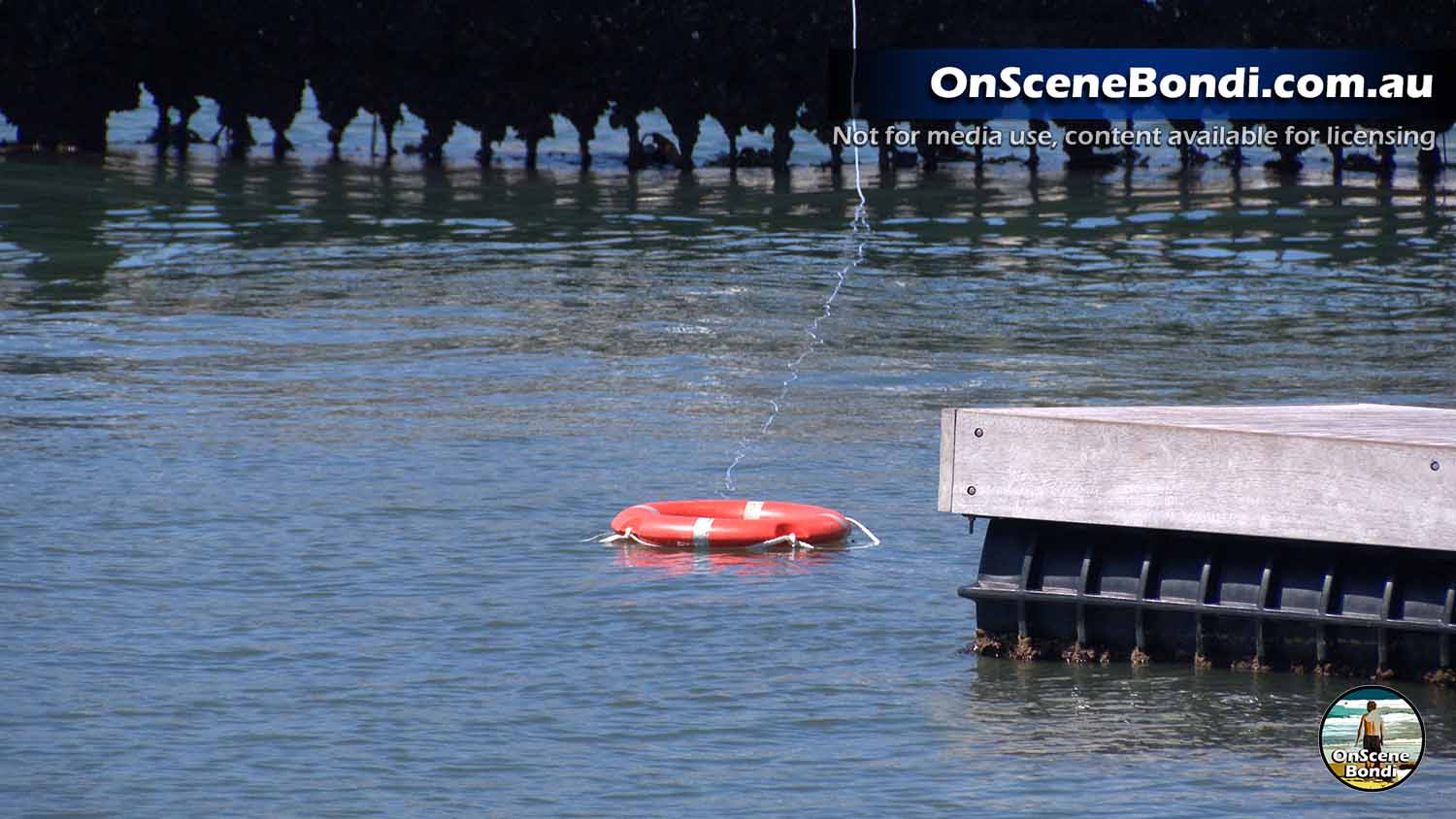 20251204 double bay 002