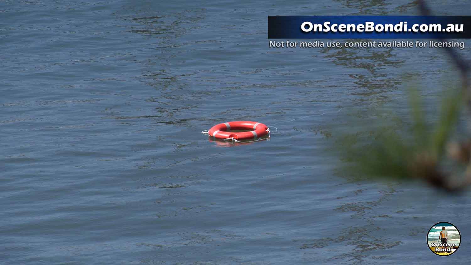 20251204 double bay 002